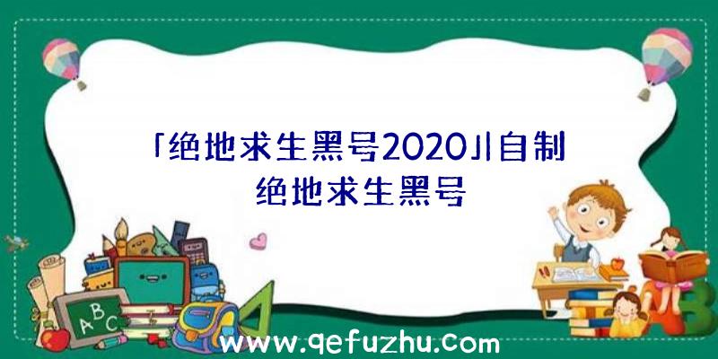 「绝地求生黑号2020」|自制绝地求生黑号